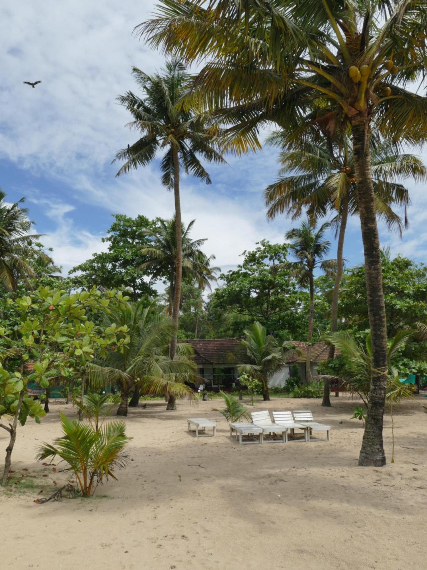 Marari Sealap Beach Villas Mararikulam Esterno foto