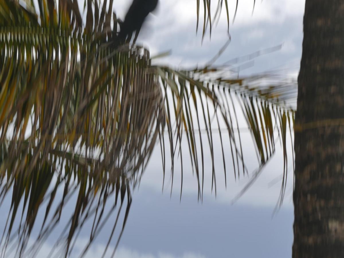Marari Sealap Beach Villas Mararikulam Esterno foto
